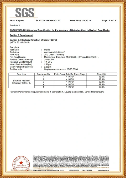 ASTM F2100