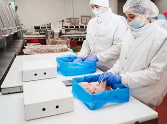 Food Processing Shoe Cover