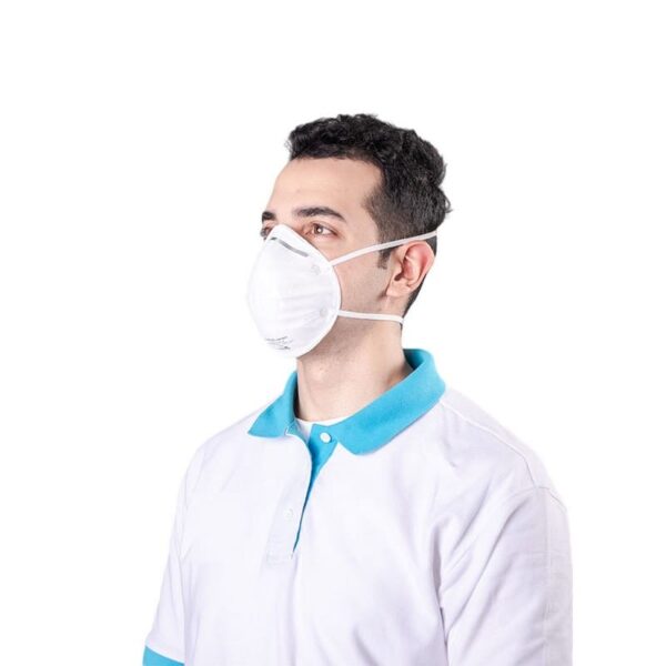 N95 Mask (2)